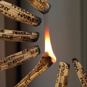 Palo Santo – smilkalai